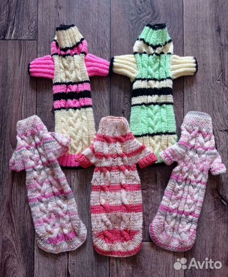 Одежда для животных