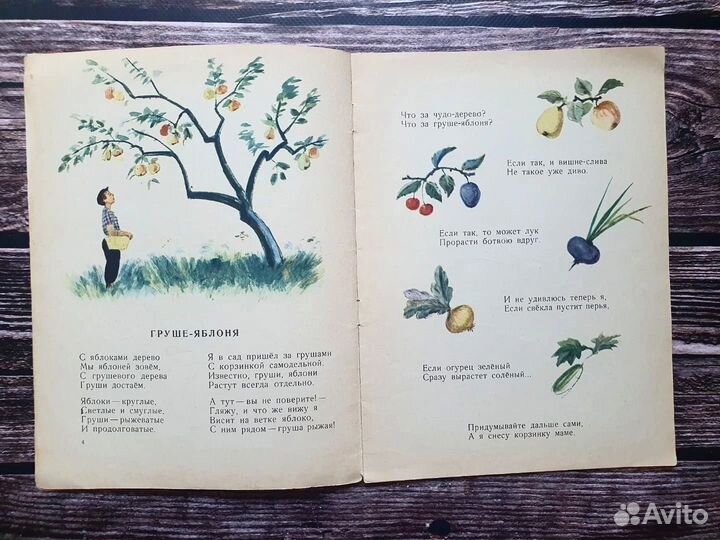 Телесин. Плюх - Плих 1964 г