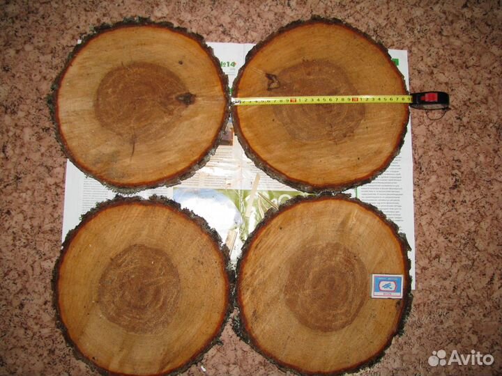 Спилы (Срезы) дерева для декора (торцевые)