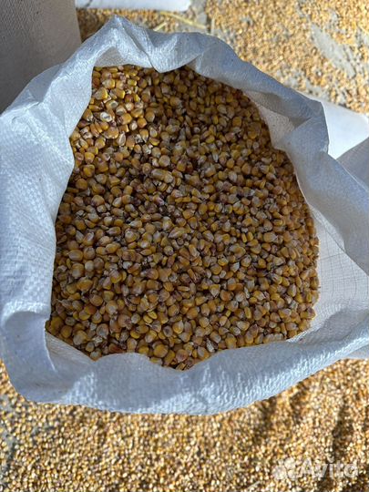 Корм корма комбикорм для крс и птиц