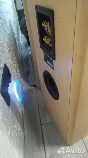 Акустика 5.0 20 см басовик большие Celestion F38