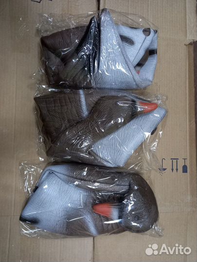 Профиля гусей