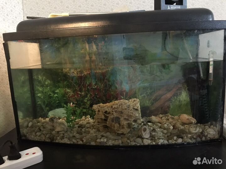 Аквариум