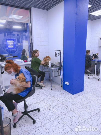 Модель на груминг