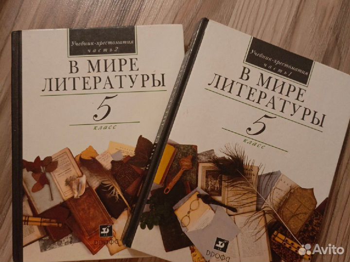 Учебник Литературы 5класс, две части