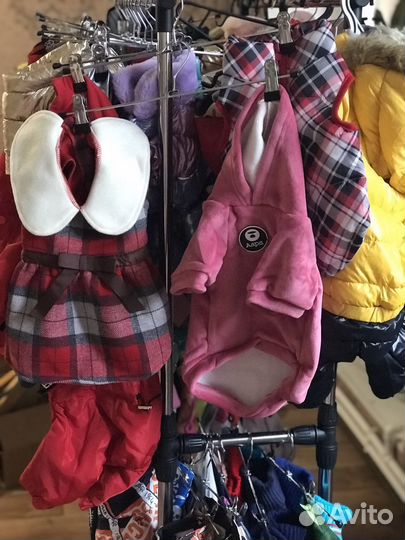 Одежда для собак