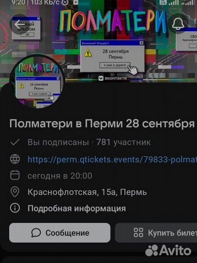 Билет на концерт полматери
