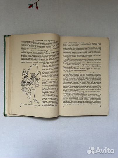 Десна красавица