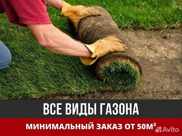 Укладка и продажа рулонного газона