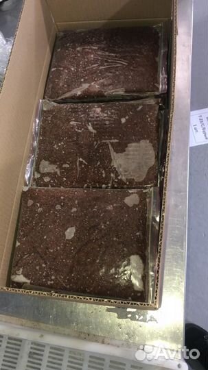 Рачок Артемии замороженный