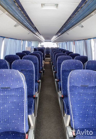 Заказ автобуса 50 мест Неоплан