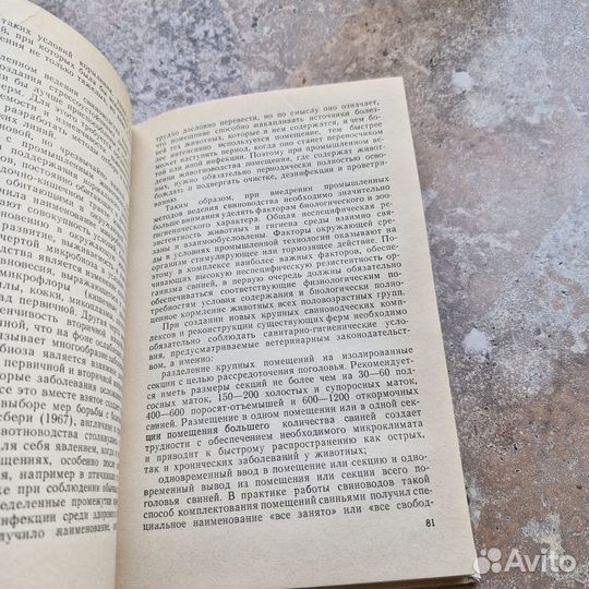 Интенсификация производства свинины в специализиро