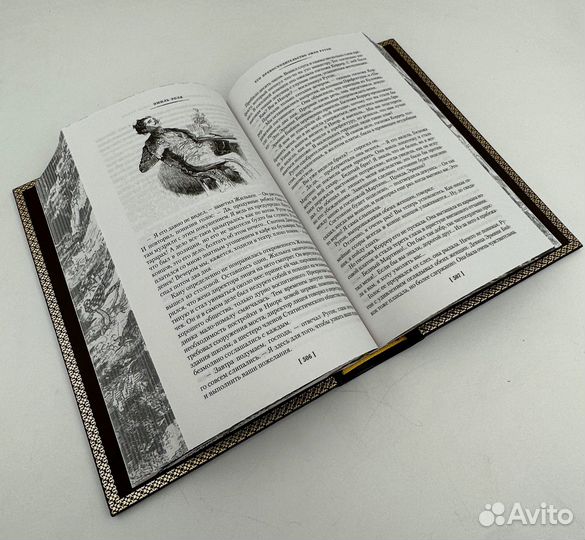 Золя Эмиль. Избранные произведения. В кожаном пере