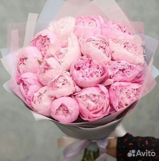 Пионы Букеты Цветы Доставка