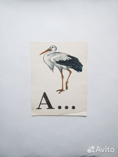 Азбука в картинках: листовое издание для школы