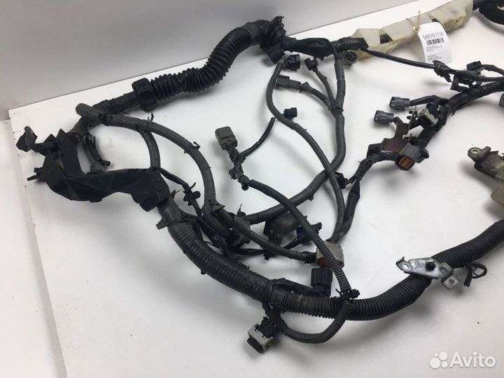 Проводка двигателя Infiniti Fx35 S50 VQ35DE 2004