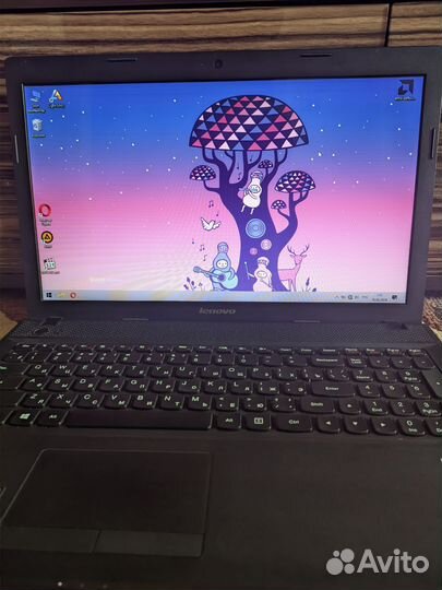 Ноутбук lenovo g505 20240