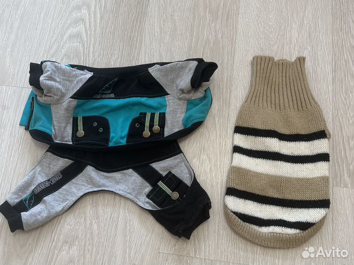 Одежда для маленьких собак