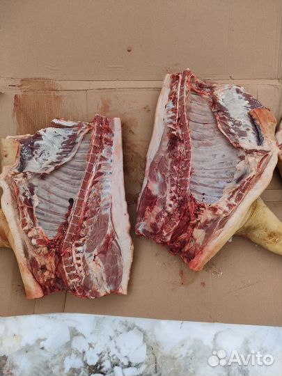 Мясо свинина домашняя,поросята для вертела