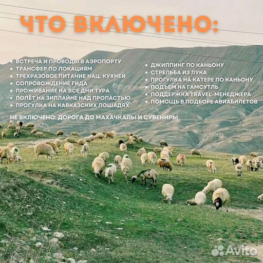 Путешествие в Дагестан вип