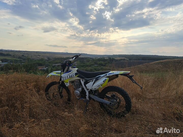 Avantis FX 250 LUX