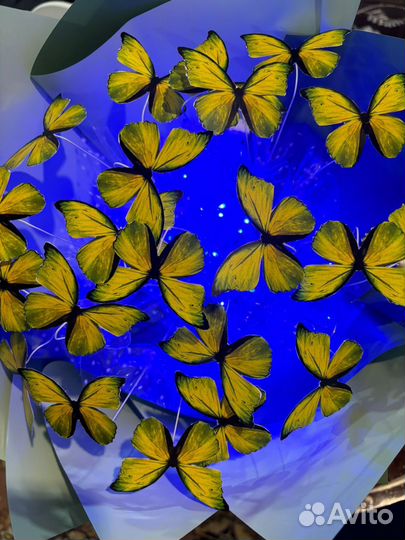 Букет из бабочек