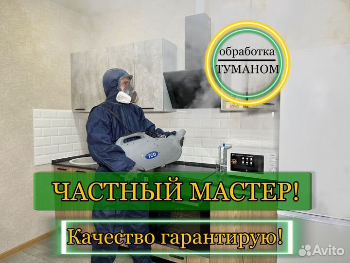 Уничтожение тараканов, клопов, блох, грызунов