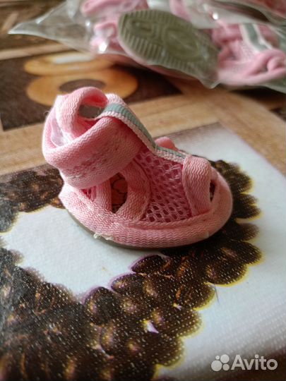 Одежда для собак