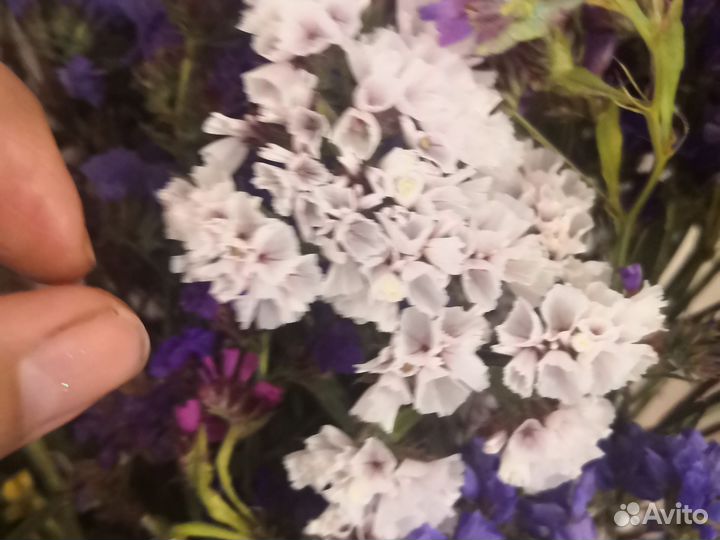 Букет из сухоцветов