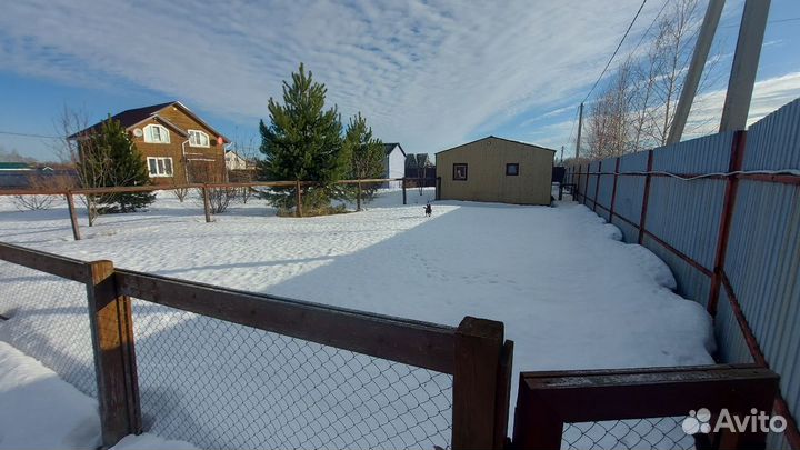 Передержка, зоогостиница