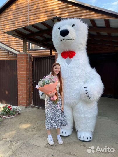 Мишка на праздник