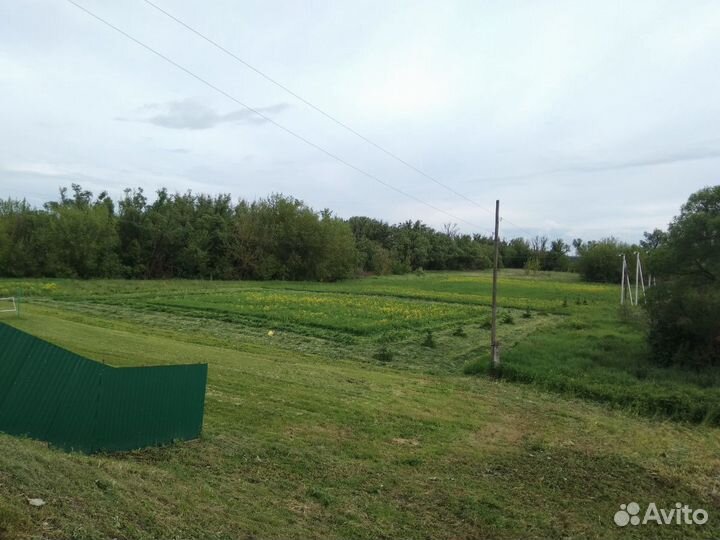 Покос травы, бурьяна