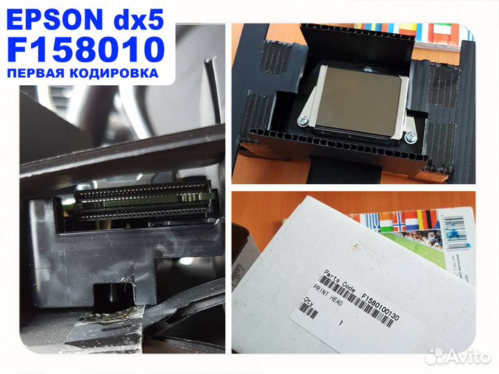 Epson dx5 F186000, F187000, F160010, Fa24010