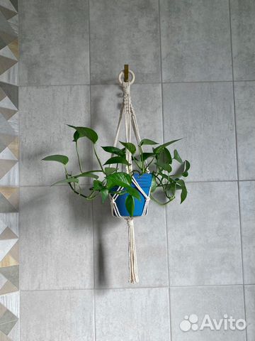 Подвесы кашпо макраме для комнатных растений