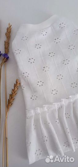 Одежда для собак