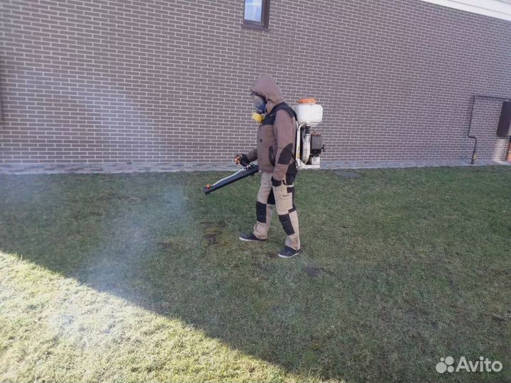 Обработка участка от насекомых/кротов