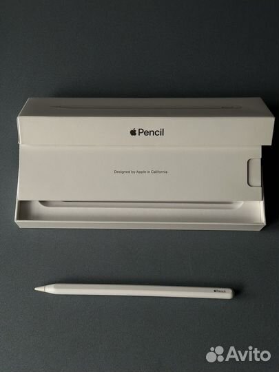 Apple Pencil (2nd Gen)