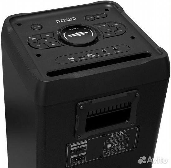 Колонка Ginzzu GM-205