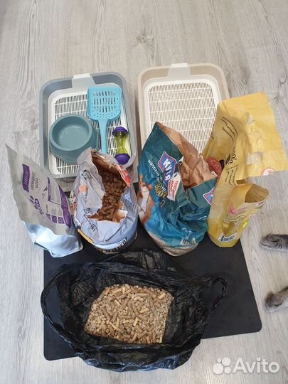 Лоток для кошек