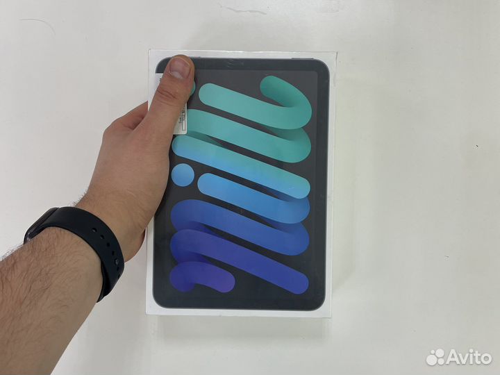 iPad mini 6 64Gb WiFi Gray