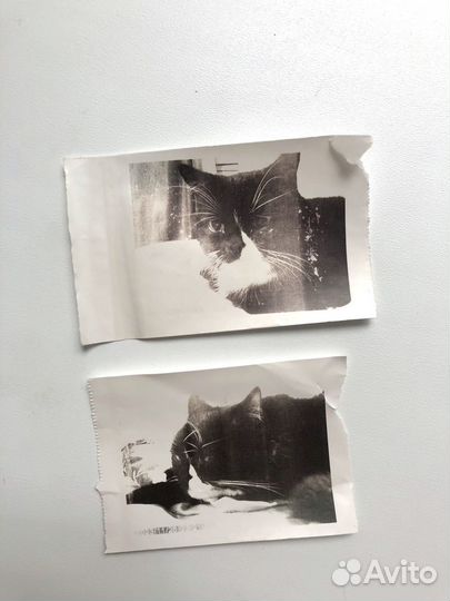 Детский фотоаппарат моментальной печати