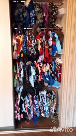 Одежда для собак