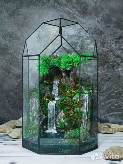 Флорариум бонсай