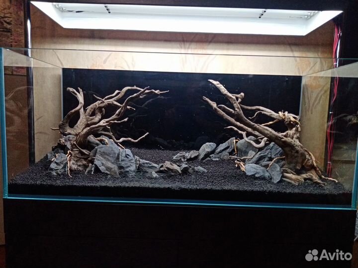 Aqua дизайн, запуск и обслуживание аквариумов