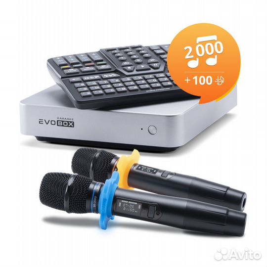 Караоке комплект EvoBox с микрофонами Evolution SE