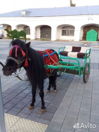 Двуколка для пони или клиппера