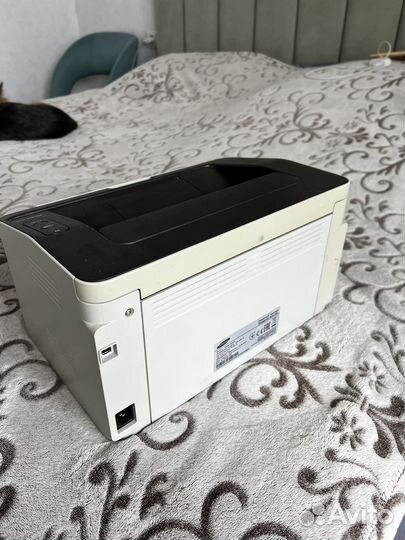 Принтер samsung xpress m2020