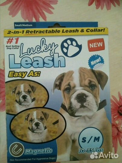 Ошейник и поводок