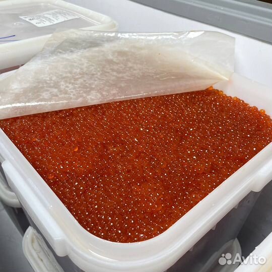 Икра Красная Кеты 2024