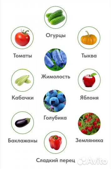 Шмели для сада, огорода, теплицы, детей